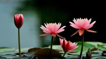 人到中年，才发现亲戚都很现实