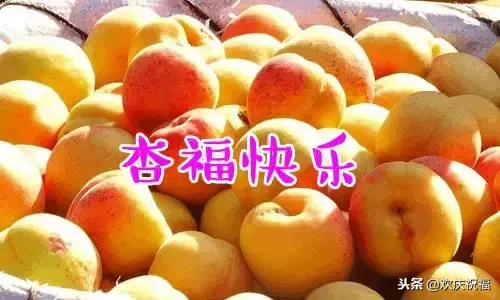 《2019新年贺卡》,致我所有的微信好友!