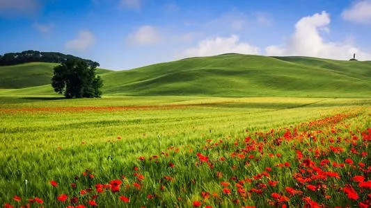 【朗读南明】别样诠释青春，汪国真的诗与远方