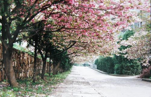 南京农业大学经济管理学院2019级硕士拟录取名单（不含mba）