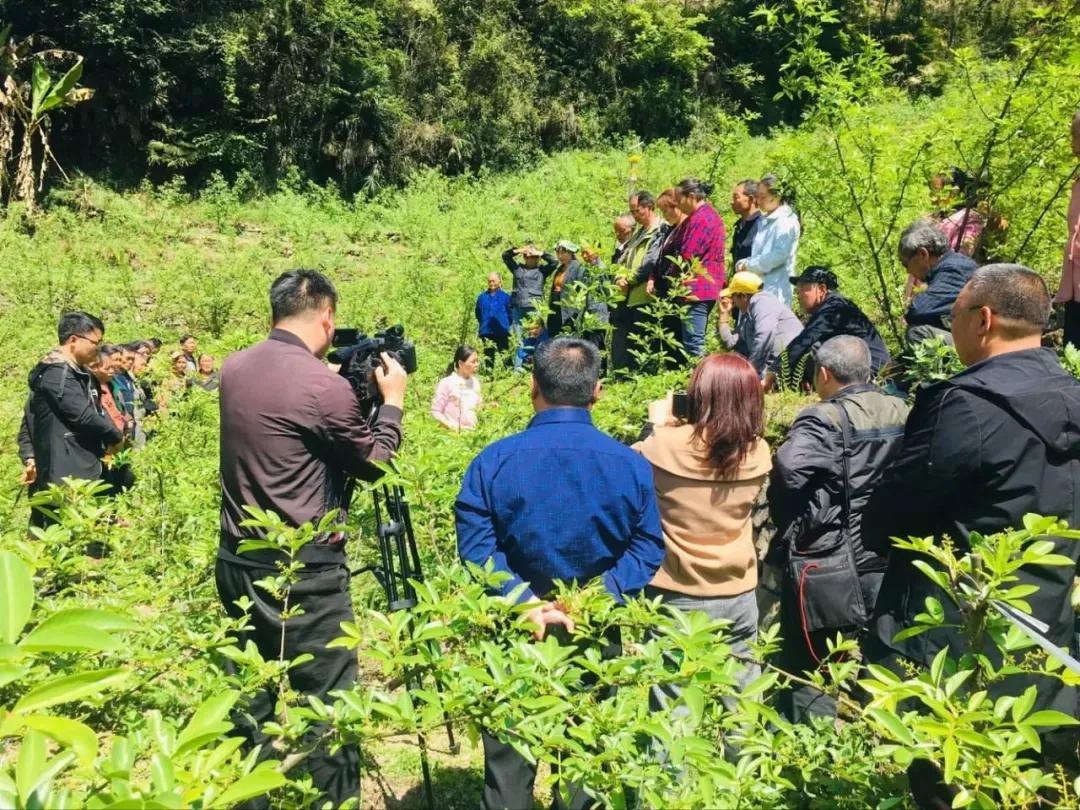 看！来自四川农业大学的志愿服务项目