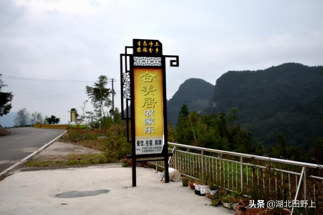 田野上團(tuán)隊(duì)下鄉(xiāng)小記丨走進(jìn)省級美麗鄉(xiāng)村示范村—分鄉(xiāng)鎮(zhèn)百里荒村