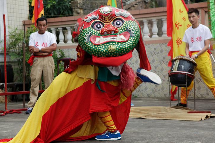 盖仔狮为什么叫狮王,盖仔狮为什么是老大