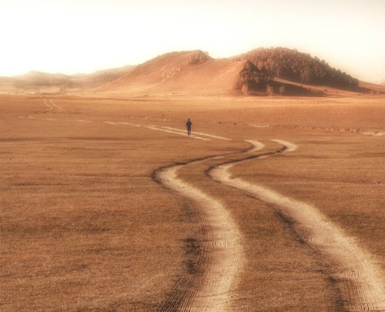 10篇写高三高考的优秀作文：有备战经历、写作方法，可治愈心灵