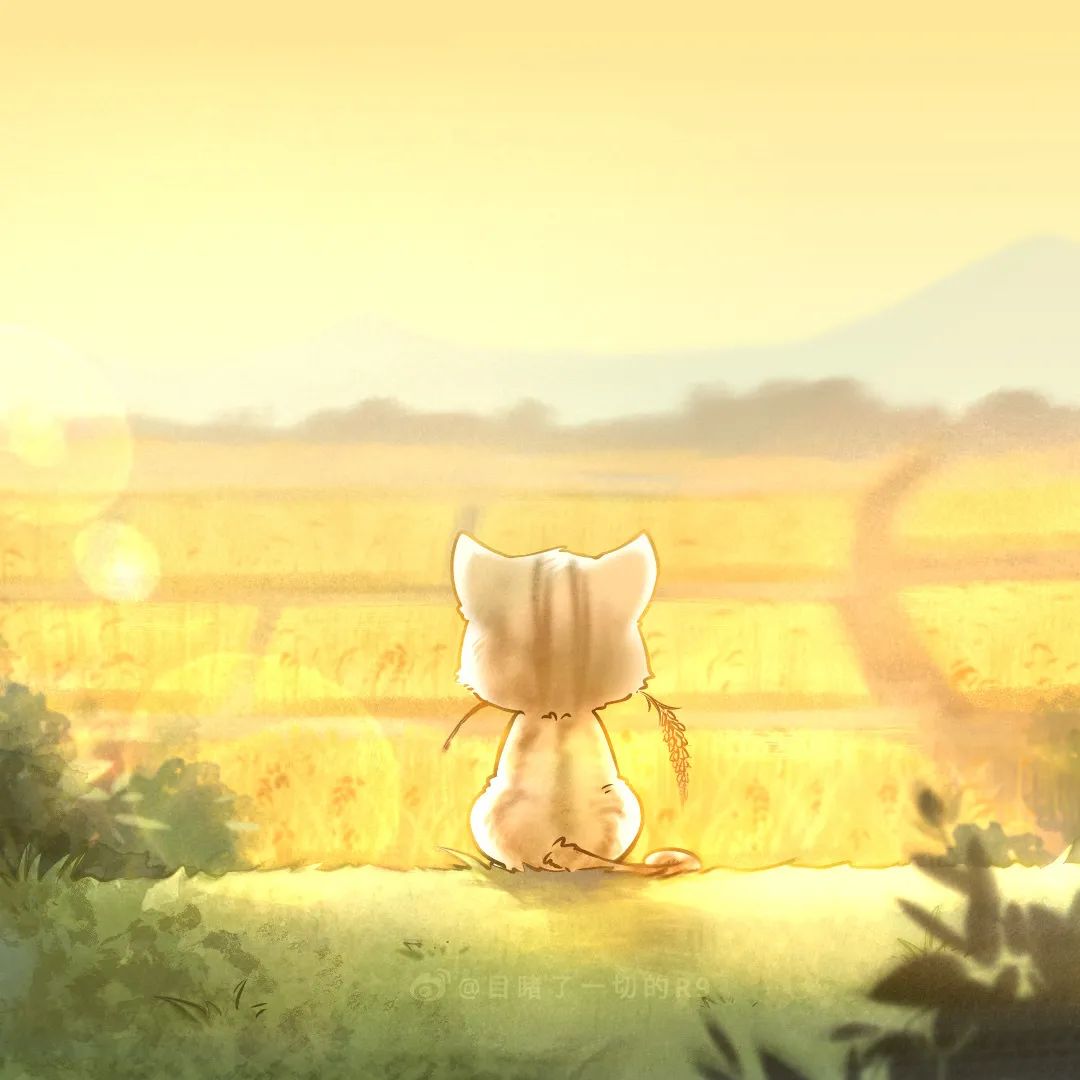 今天的饭，吃着吃着眼泪就下来了