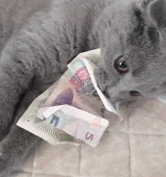 2020版最新法官、检察官表情大全！哈哈哈