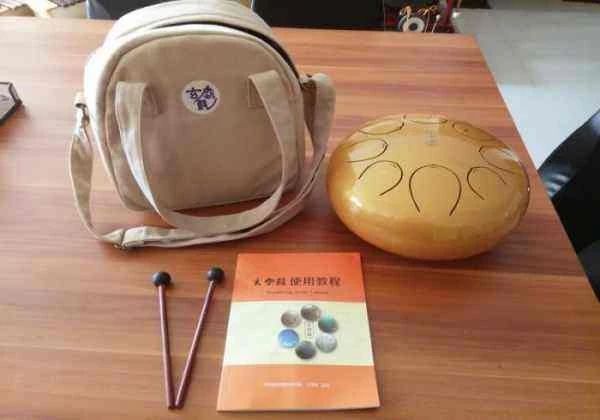 有些乐器甚至不用学就可以入门，十大易学乐器有这些