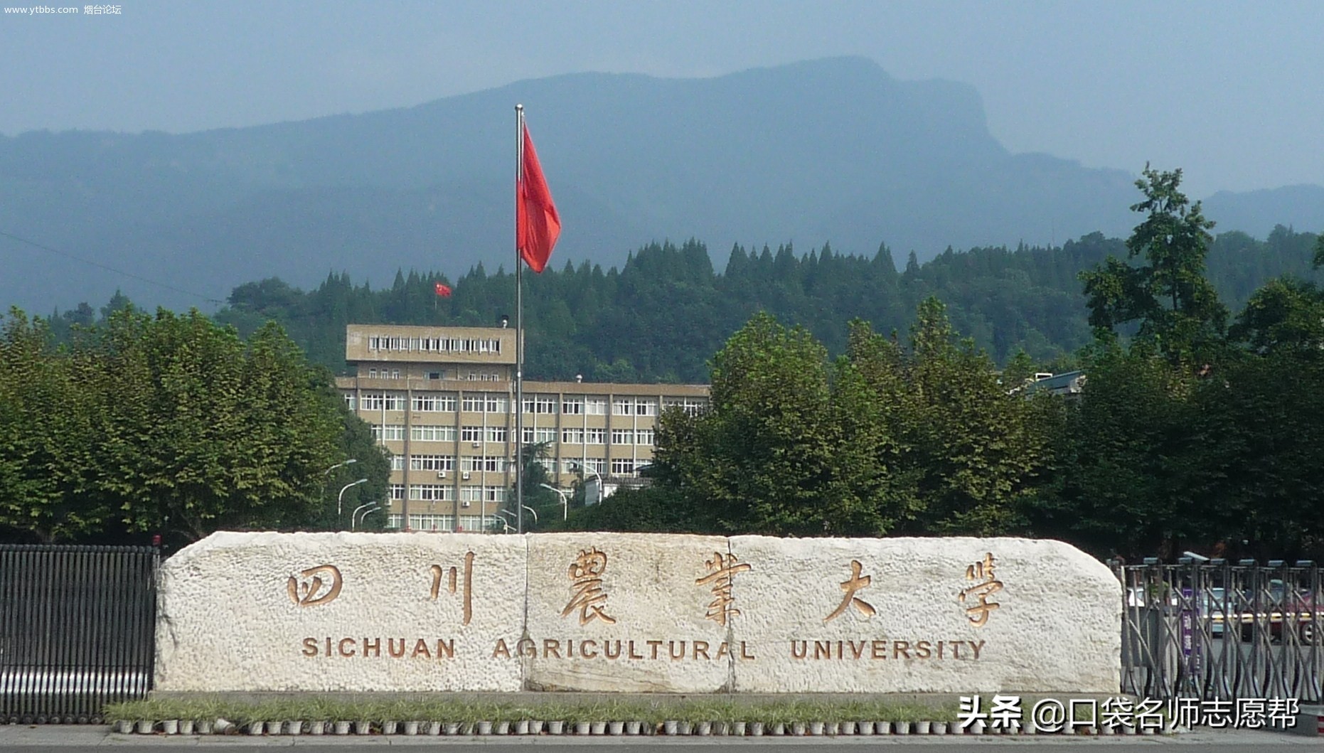 “最委屈”的10所985和211：专业实力超强，却常常被误解