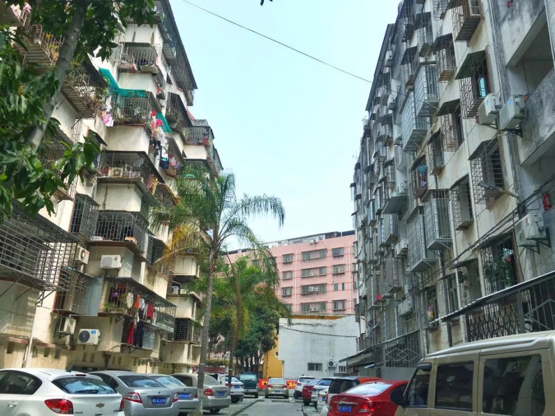 老破小一平10万+！我们走遍厦门18所名校，为你曝光最贵学区房！