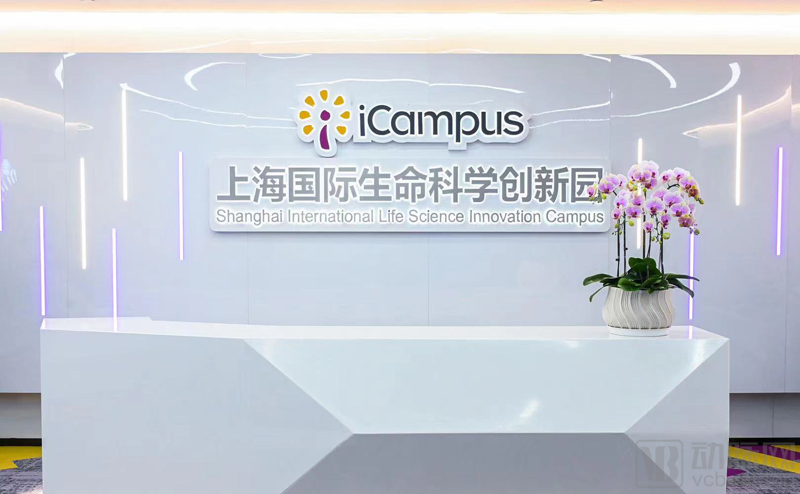 阿斯利康创新园在沪启航，助力上海医药研发头雁影响力辐射全球