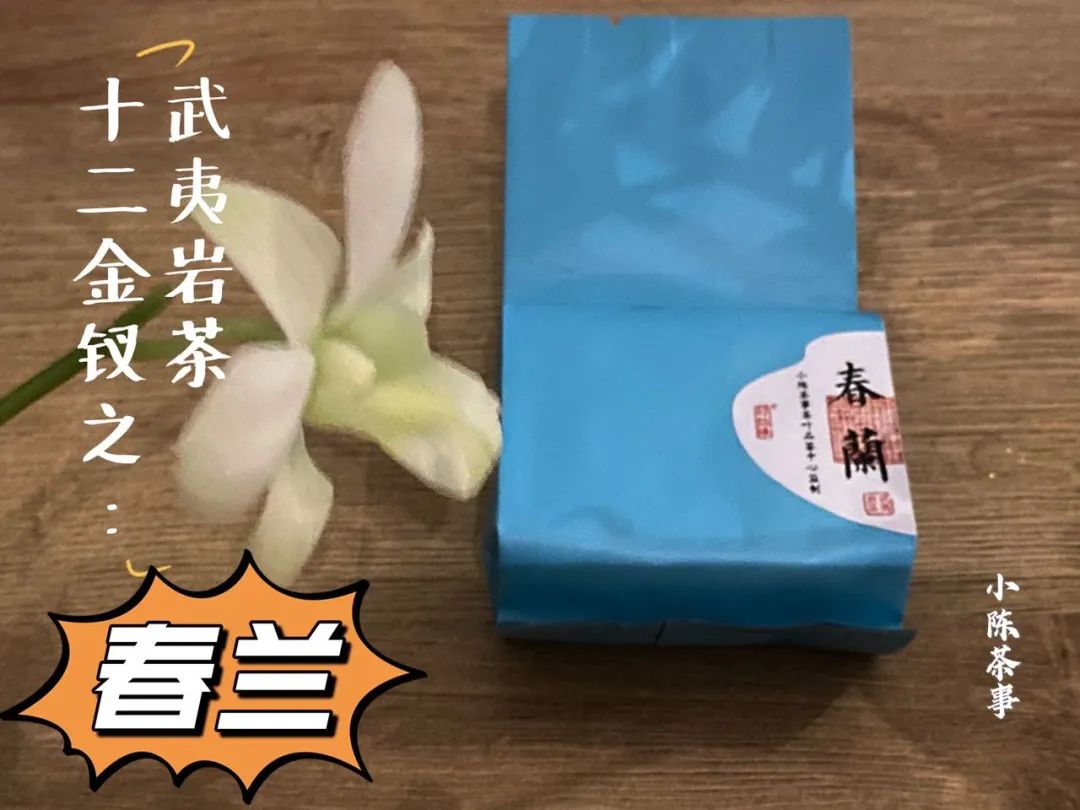 武夷岩茶十二金钗，这一次，我们准备了哪些好茶等着你？