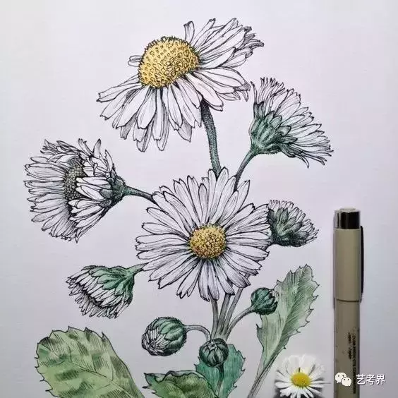 艺考生注意：报考这12所院校单科成绩不达标也不能被录取