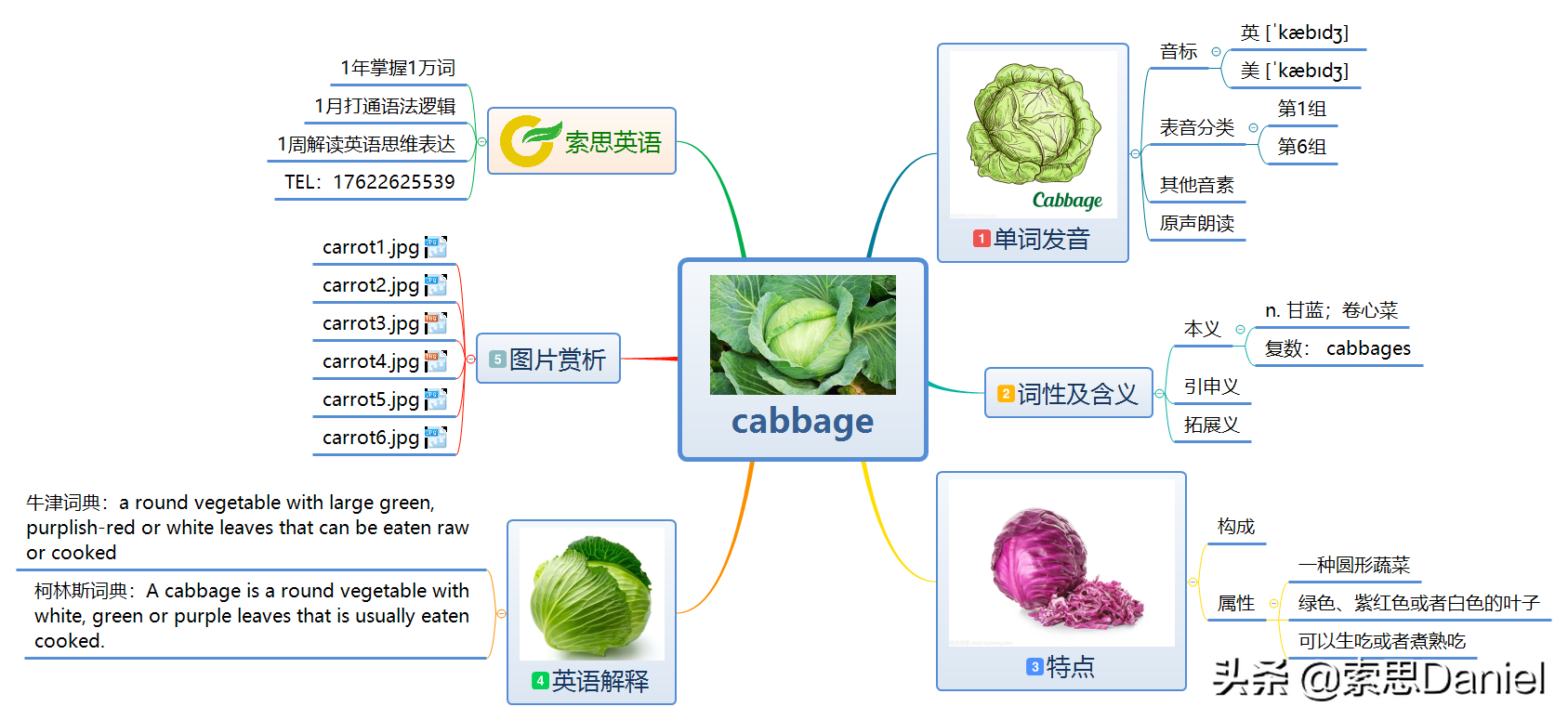 卷心菜的英语单词是什么？探索 cabbage 的词源和发音规律