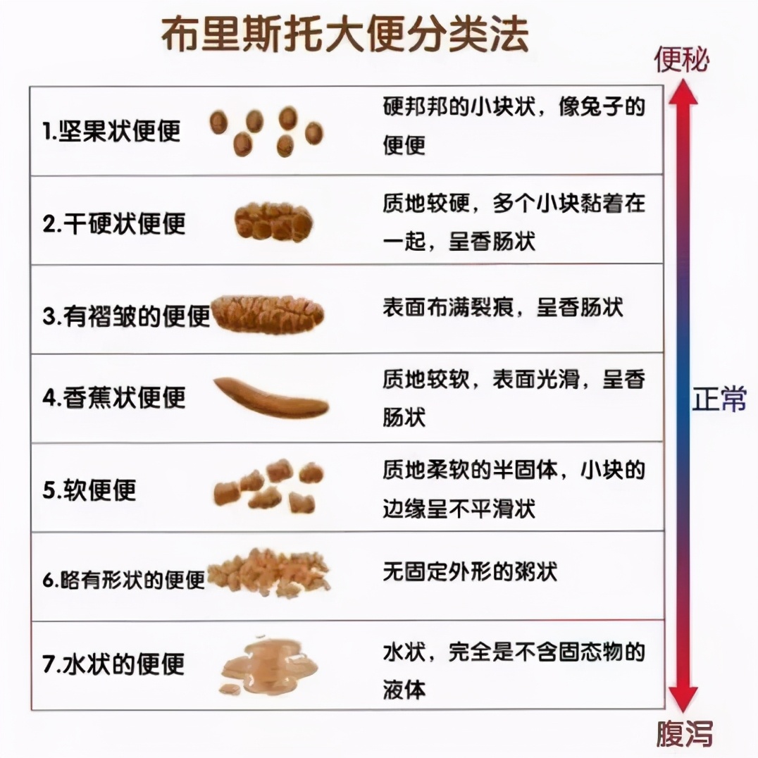 为什么有的人总是便秘，对身体有多伤？3种通便食物，医生也常吃