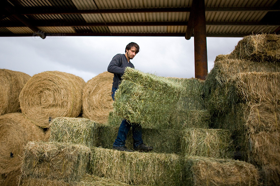 美国深泉学院，一所被中国人神化了的普通专科学校