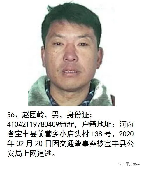 网上逃犯,网上逃犯名单查询系统