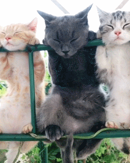 2020版最新法官、检察官表情大全！哈哈哈