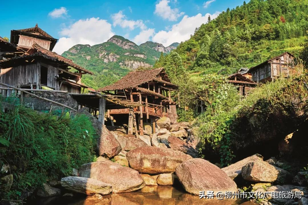 满山金色稻浪,为你换一屏秋色
