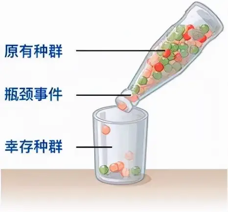 中国有几只大熊猫（大熊猫被降级还是国宝吗）