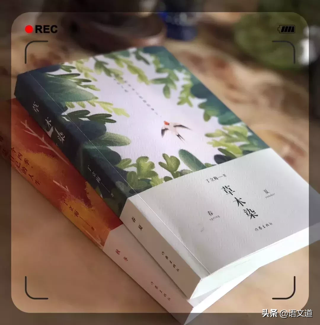 等待绽放丁立梅读后感(丁立梅等待绽放摘录) _晶羽文学网