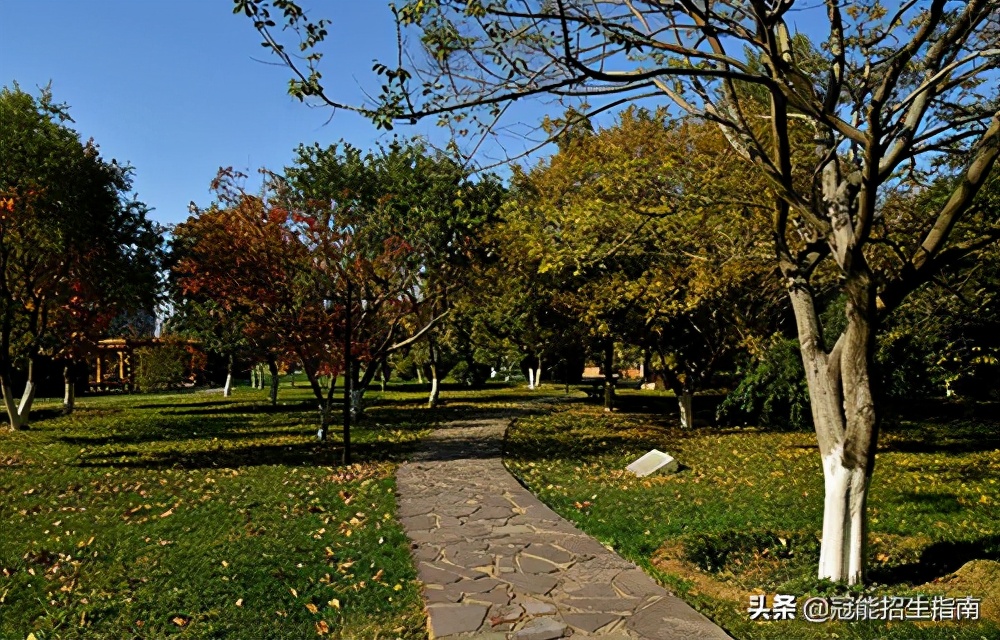 今年报春考单招，想学护理专业，成都有哪些职校比较好？