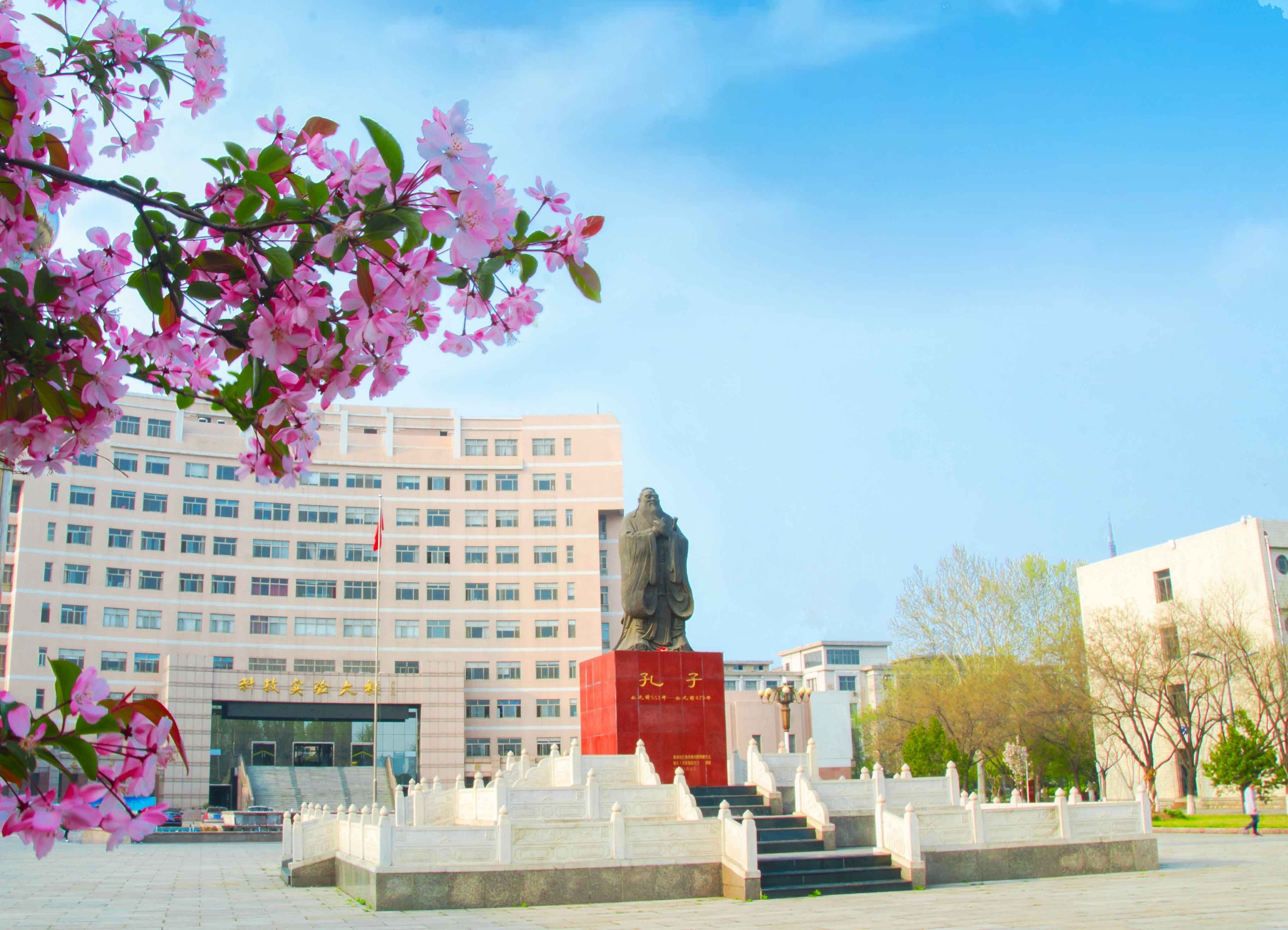 曲阜师范大学2020年招生计划，省属公费师范生招收463人