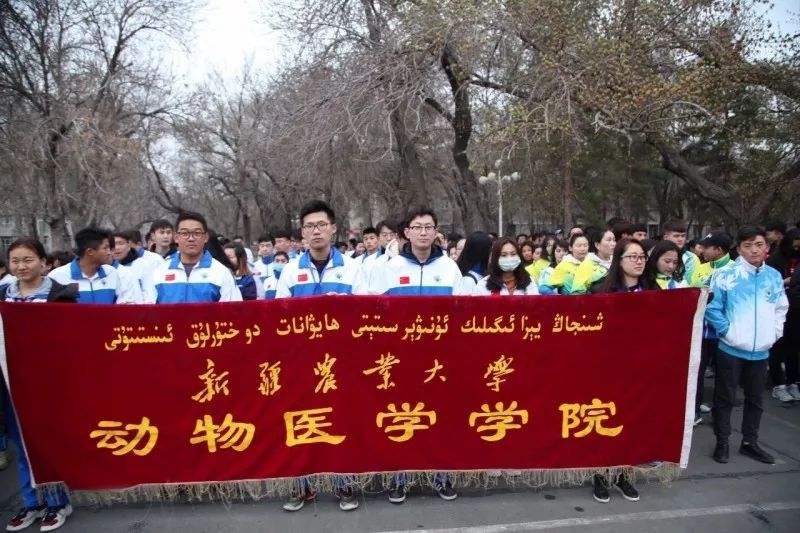 2020年新疆统招专升本必须招专业—新疆农业大学（动物医学专业）