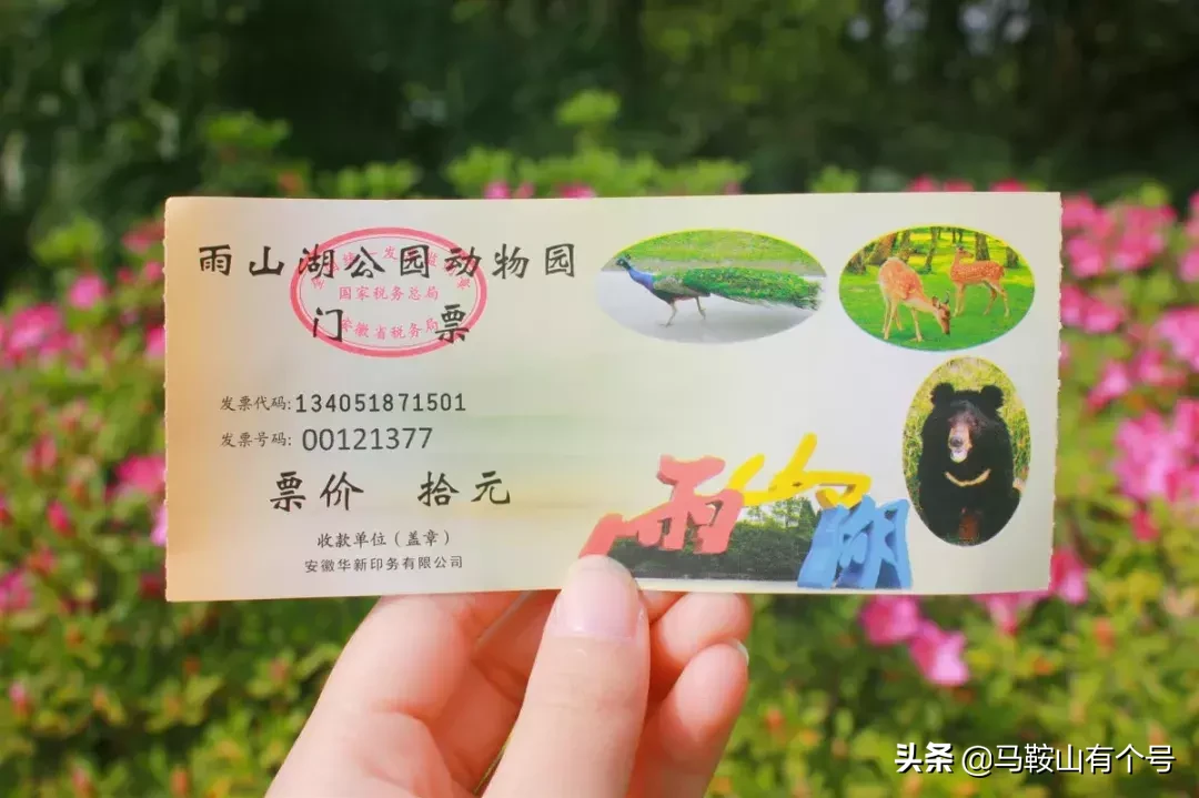 马鞍山人，别忘了动物园！这里曾是我们的全部！