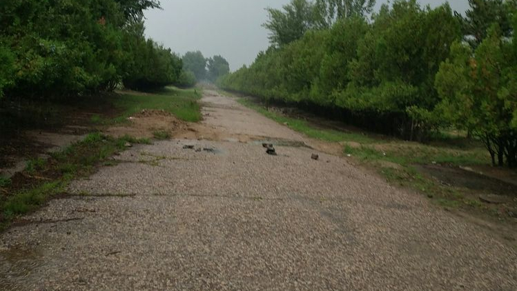 「苦乐年华18」第六章大学时代第1节：河北师范学院简介（3）