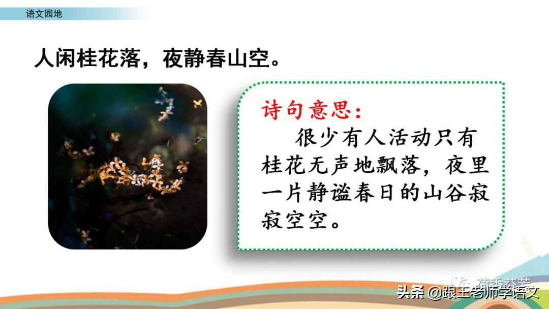部编版语文五年级(下)：《语文园地二》精讲+单元知识点+练习