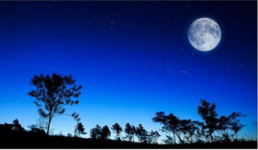 情感美文:乡下的月夜