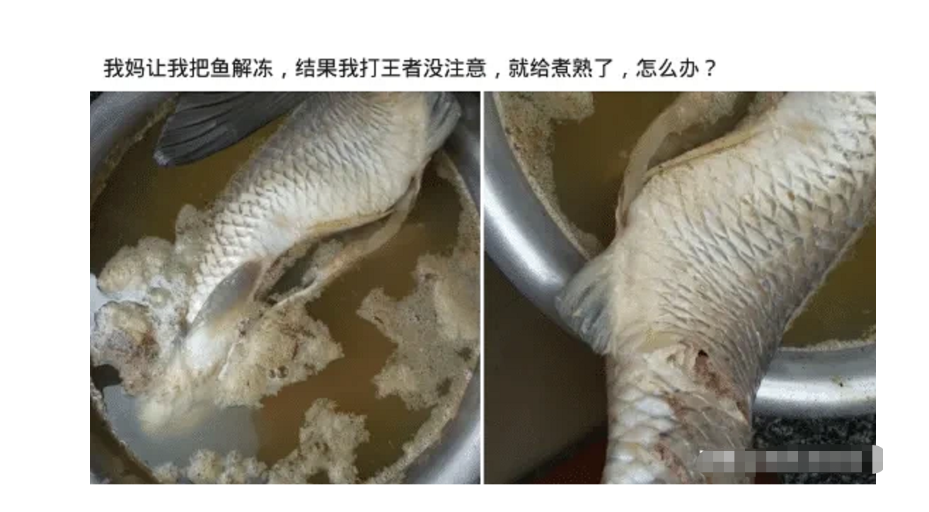我妈让我把鱼解冻，结果打游戏没注意煮熟了怎么办？
