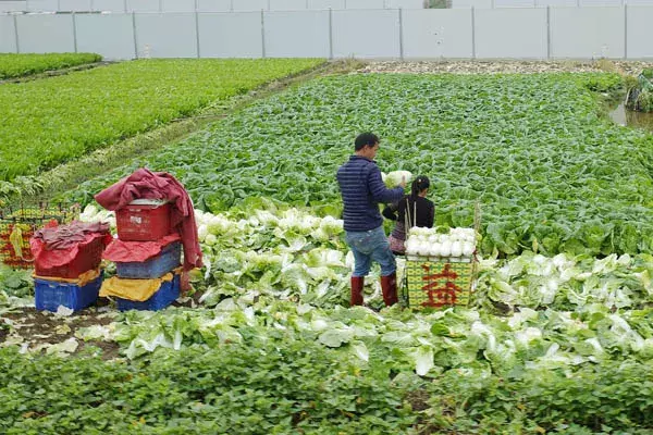 ���忭���û�����ʵ¼�����������֣���ɶ����T | ����֮����