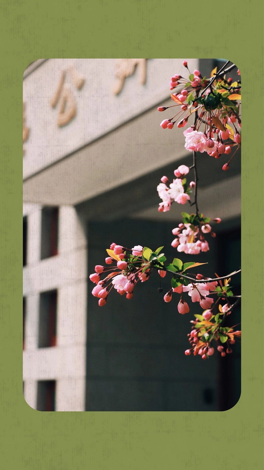 中国这10所大学壁纸第二期！厦门大学、中山大学等在列