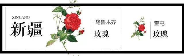 中国十大城市市花（史上最全中国各城市市花）