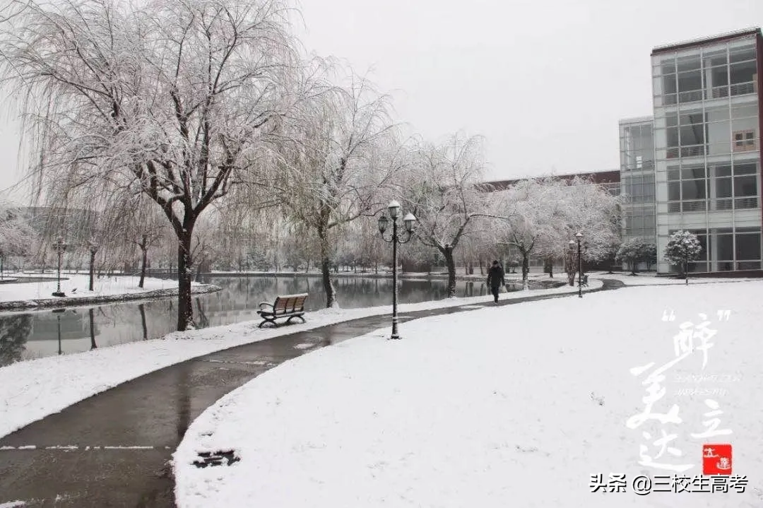 报考上海立达学院专升本，竟然还有免费游学大礼包