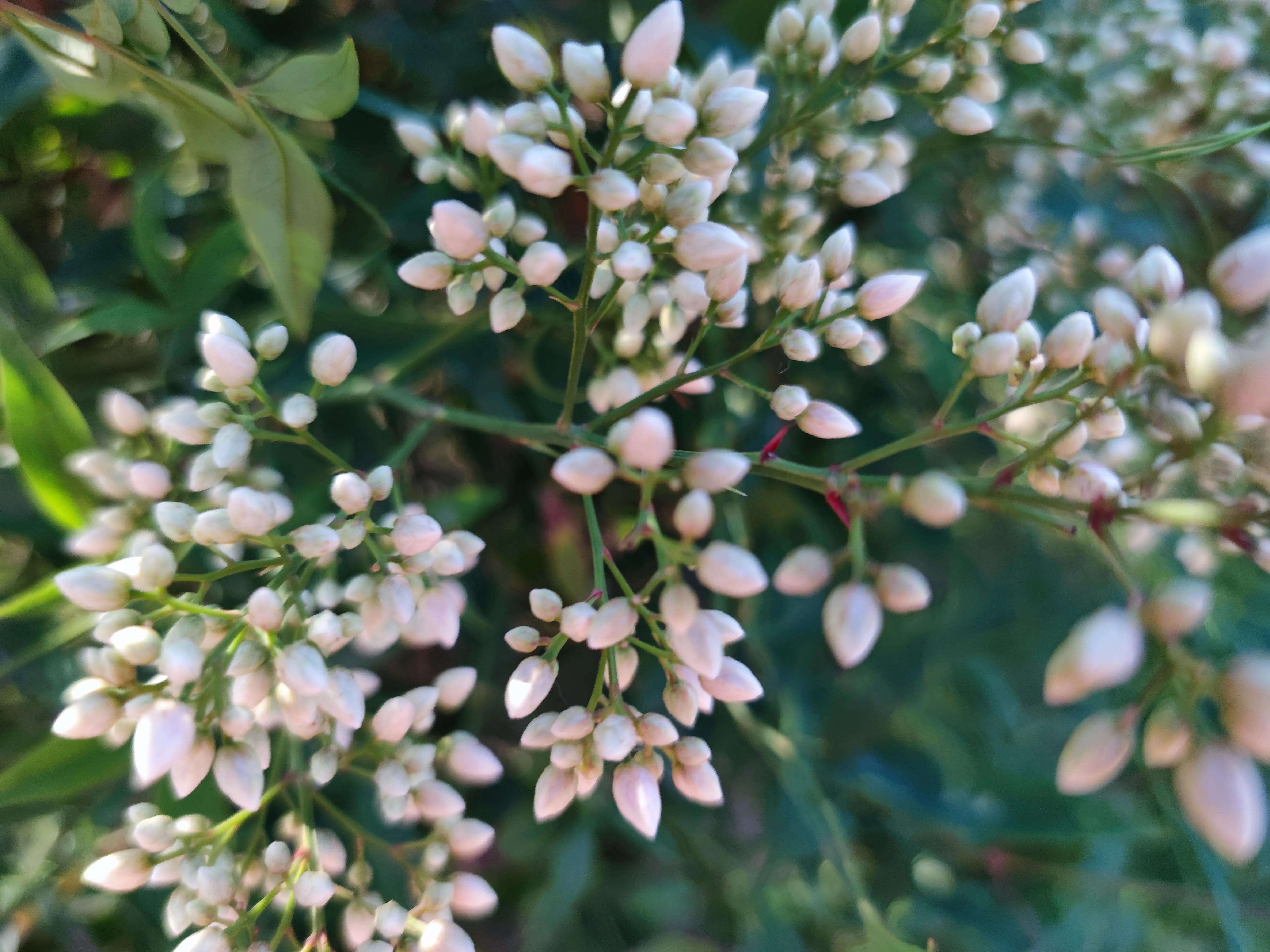 范文：严师，感恩有您