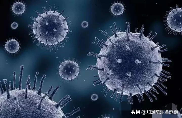 麻疹：传播能力甚至强于新冠病毒，莫让疫苗犹豫促使它死灰复燃