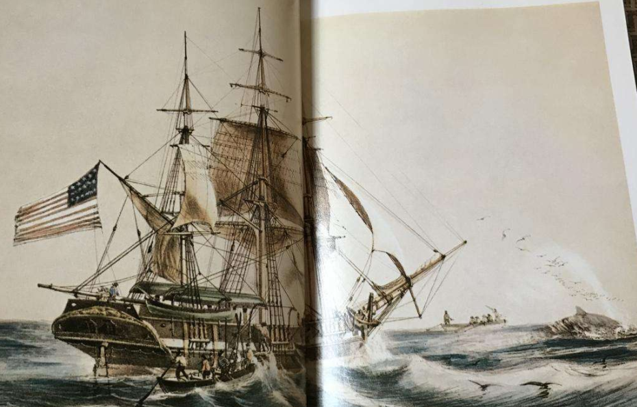 浅析《白鲸》主要角色的象征意义|人与自然抗争,必定两败俱伤