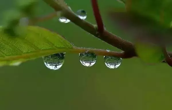 湿气是怎么形成的?怎么除去