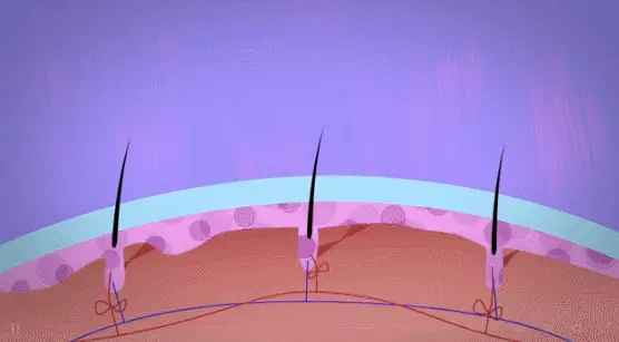 长出来的白发还能变黑吗（白头发怎么改善养出黑发）