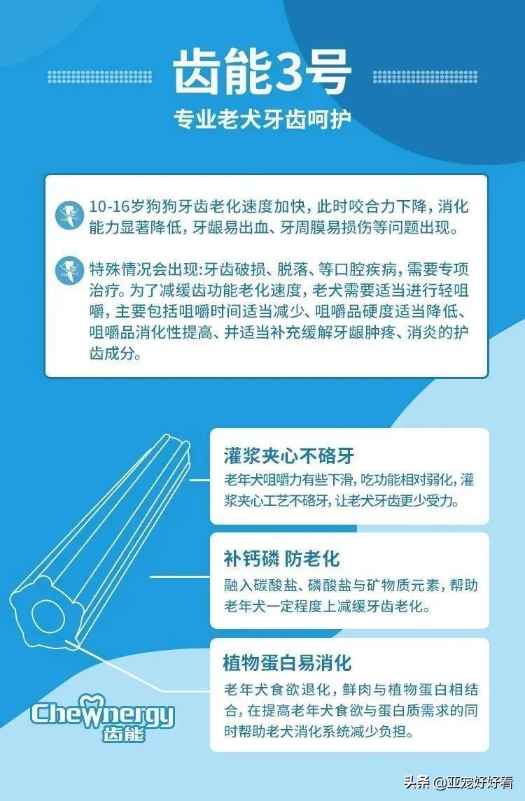 亚宠云课堂∣4月21日吴起支招宠物门店如何避免不当犬猫服务操作