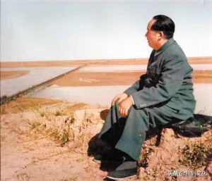 读《琵琶行》，毛泽东激动得泪如泉涌，他品味出了与众不同的感悟