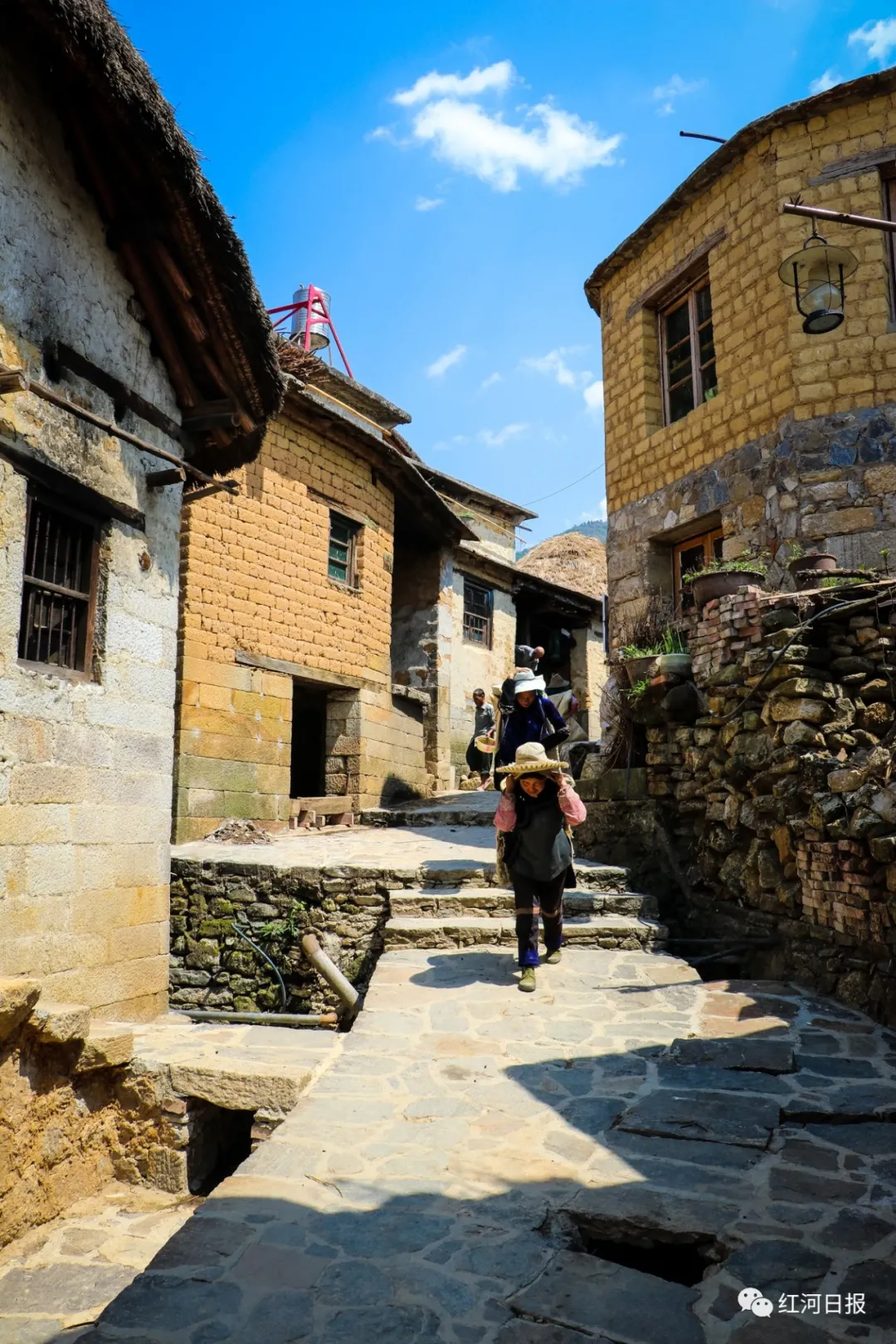 建水+元阳 连续两年上高考题~带你“卷”上感受红河之美