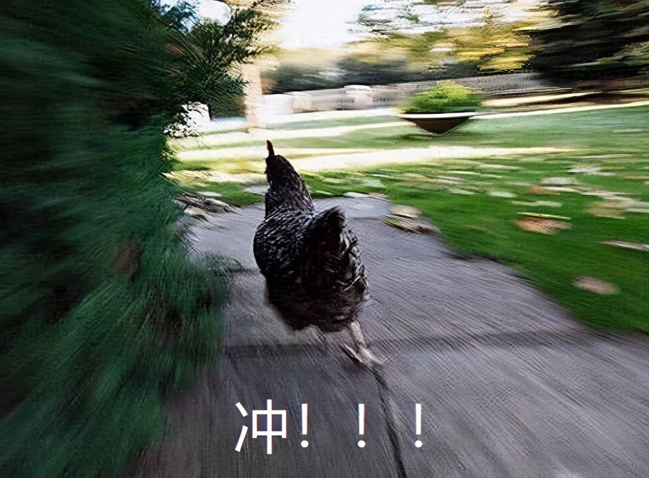 微波爐食譜,微波爐食譜大全及做法竅門