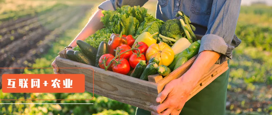 农产品也来全网营销了，你还在观望吗？