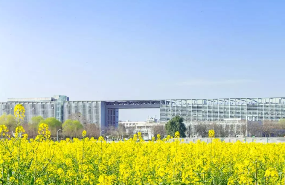 武汉的一些高校太有特色了，看完好想再来武汉读一次大学