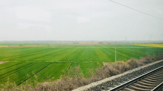 蒲城，我去过最好吃的城市