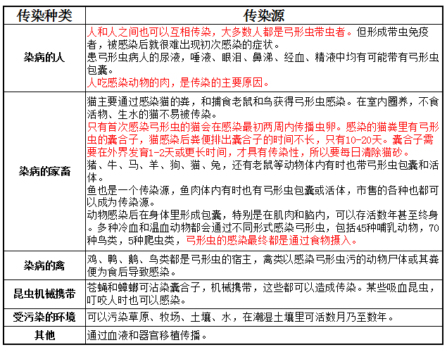 辟谣！怀孕不能养猫？十恶不赦的弓形虫根本没那么容易感染！