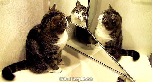 2020版最新法官、检察官表情大全！哈哈哈